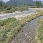 Greto della Stura - Foto Matteo Massara